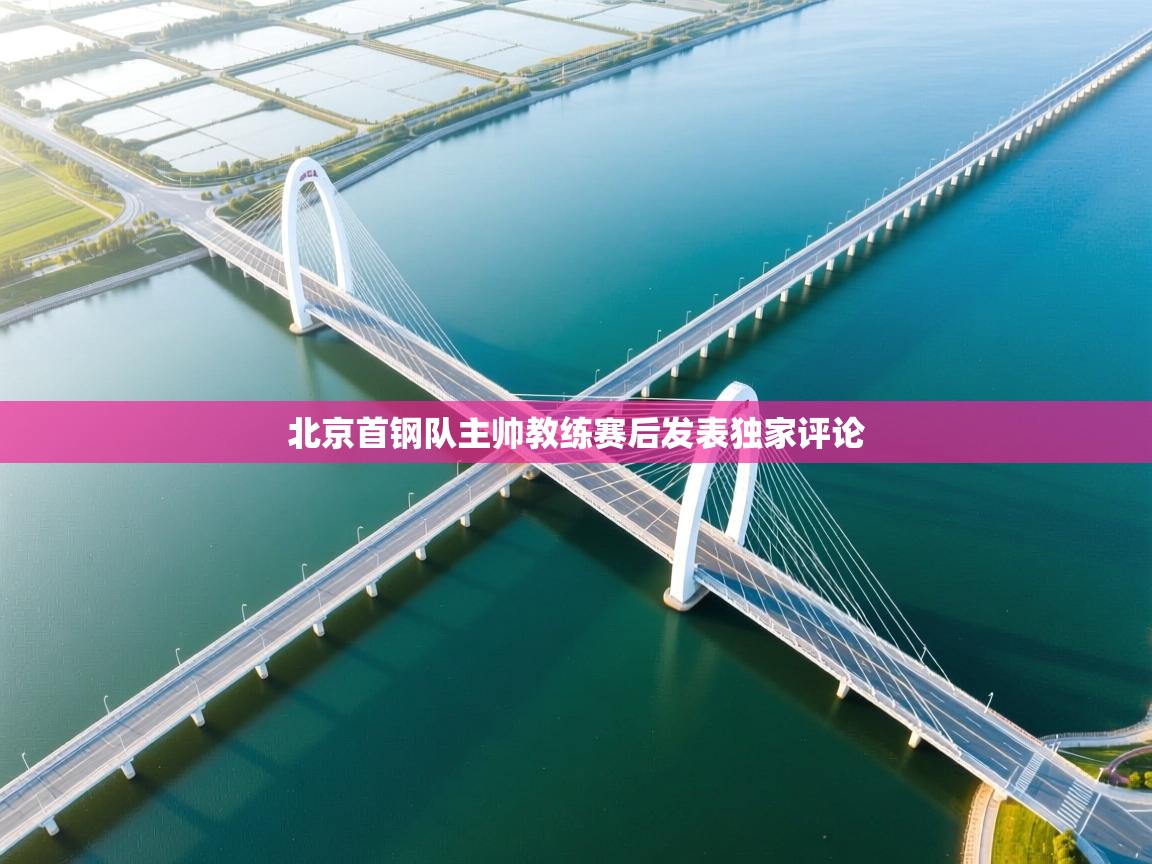 北京首钢队主帅教练赛后发表独家评论  第2张