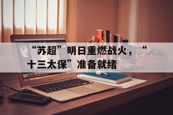 关于“苏超”明日重燃战火，“十三太保”准备就绪的信息
